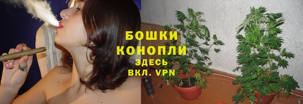 ешки Бронницы