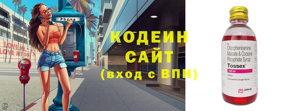 a pvp Бородино