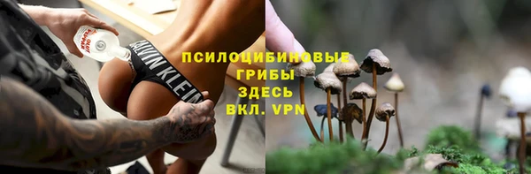 ECSTASY Бугульма