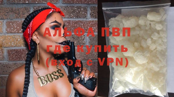 a pvp Бородино