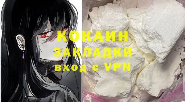 ешки Бронницы