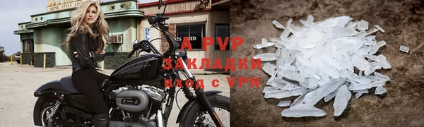 a pvp Бородино