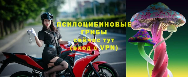a pvp Бородино