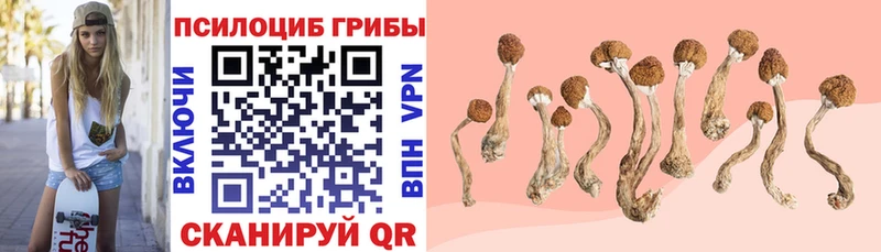 Купить Нерюнгри Псилоцибиновые грибы мухоморы