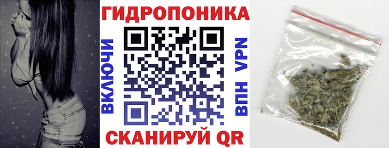Марихуана план  Купить закладки  Нерюнгри 